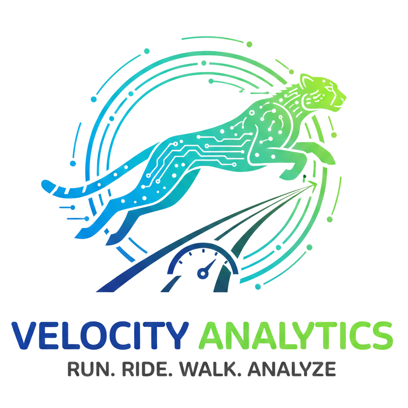 Velocity Analytics